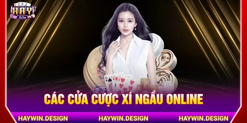 Các cửa cược xí ngầu online 