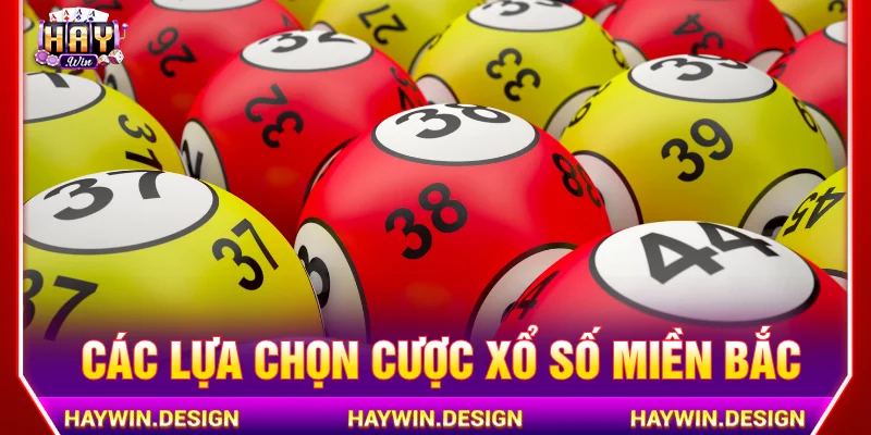 Các lựa chọn cược Xổ số miền Bắc hút người chơi năm 2026