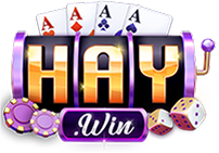 haywindesign