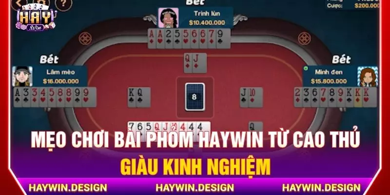 Mẹo chơi bài phỏm Haywin từ cao thủ giàu kinh nghiệm