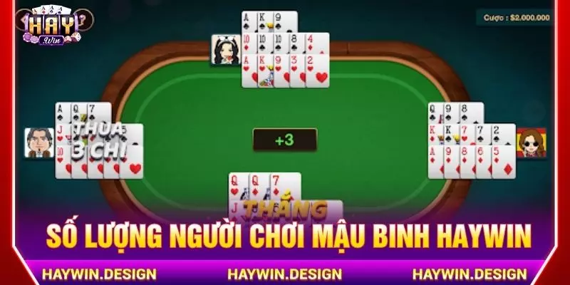 Số lượng người chơi mậu binh Haywin