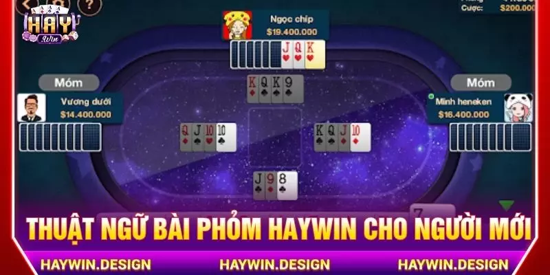 Thuật ngữ bài phỏm Haywin cho người mới